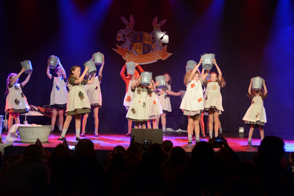 ../Images/Dansmarieke festival 2015 406.jpg